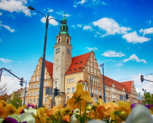 Pozycjonowanie Olsztyn